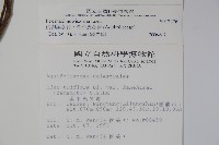 倒卵葉冬青、金平氏冬青藏品圖，第2張