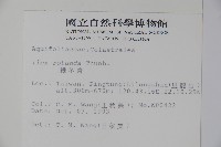 鐵冬青藏品圖，第2張