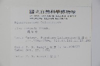 鐵冬青藏品圖，第2張