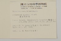 南華南蛇藤，青江藤藏品圖，第2張