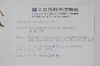 山橙藏品圖，第2張