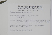 山橙藏品圖，第2張