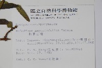 山橙藏品圖，第2張