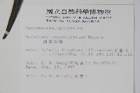 山橙藏品圖，第2張