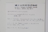 山橙藏品圖，第2張