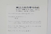 青葙藏品圖，第2張