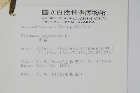 青葙藏品圖，第2張