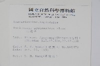 山檨子藏品圖，第2張