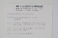 山檨子藏品圖，第2張