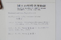 山檨子藏品圖，第2張