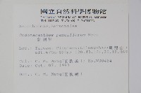 針刺草藏品圖，第2張