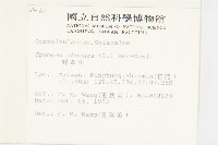 野牽牛藏品圖，第2張