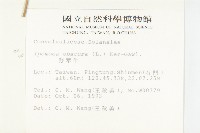 野牽牛藏品圖，第2張