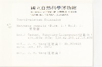 菜欒藤藏品圖，第2張