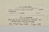 中原氏鬼督郵藏品圖，第3張