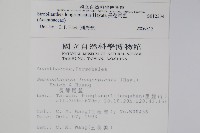 長穗馬藍藏品圖，第2張