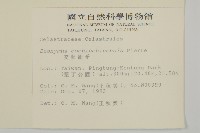 交趾衛矛藏品圖，第2張