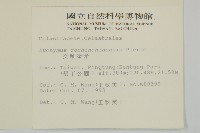 交趾衛矛藏品圖，第2張