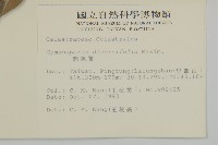 刺裸實、變葉裸實藏品圖，第2張