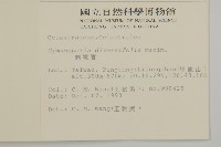 刺裸實、變葉裸實藏品圖，第2張