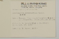 刺裸實、變葉裸實藏品圖，第2張