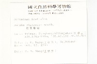 桃葉珊瑚藏品圖，第2張