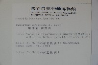 珊瑚樹藏品圖，第2張