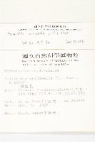 吊鐘藤藏品圖，第2張