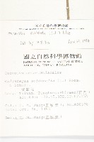 吊鐘藤藏品圖，第2張