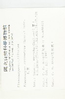 杜英、山杜英、蘭嶼杜英藏品圖，第2張