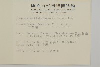 下田菊藏品圖，第2張