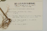 下田菊藏品圖，第2張