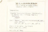 刀傷草藏品圖，第2張