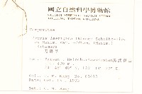 刀傷草藏品圖，第2張