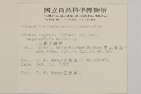 大頭艾納香藏品圖，第2張