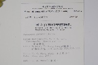 琉球黃楊藏品圖，第2張
