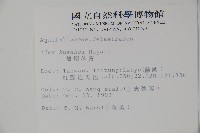 草野氏冬青藏品圖，第2張