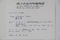 鐵冬青藏品圖，第2張