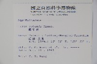 鐵冬青藏品圖，第2張