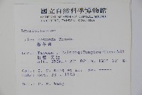 鐵冬青藏品圖，第2張