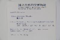 鐵冬青藏品圖，第2張