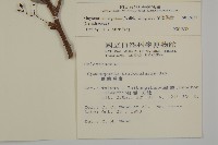 蘭嶼裸實藏品圖，第2張