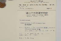 蘭嶼裸實藏品圖，第2張