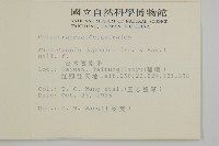 日本賽衛矛、日本假衛矛藏品圖，第2張