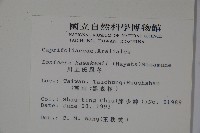 川上氏忍冬藏品圖，第2張
