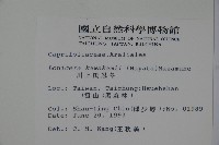 川上氏忍冬藏品圖，第2張