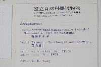 南湖附地草藏品圖，第2張