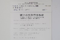 武靴藤藏品圖，第2張