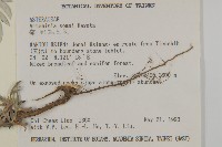 太魯閣艾藏品圖，第2張