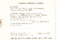 玉山毛蓮菜藏品圖，第2張